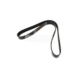 COURROIE STRIEE OEM DAYCO 10PK1408HD